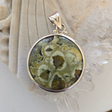 Load image into Gallery viewer, Australian Rainforest Jasper Sterling Silver Pendant