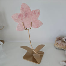 Load image into Gallery viewer, Pink Opal Orchid