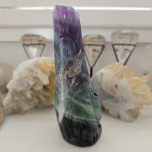 Load image into Gallery viewer, Fluorite Owl in Tree Stump