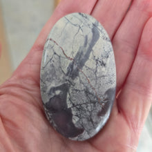 Load image into Gallery viewer, Porcelain Jasper Palmstone