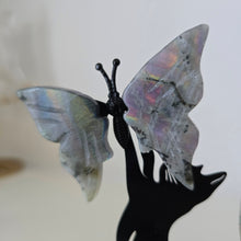 Load image into Gallery viewer, Playful Cat - 2 Butterflies