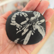 Load image into Gallery viewer, Chrysanthemum Stone Palmstone