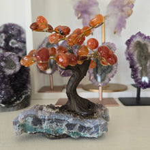 Load image into Gallery viewer, Carnelian Bonsai Tree on Amethyst Base