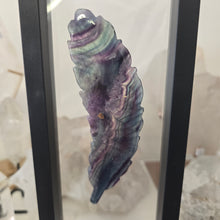 Load image into Gallery viewer, Rainbow Fluorite Feather in case