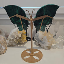 Load image into Gallery viewer, Malachite Wings