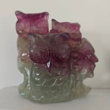 Load image into Gallery viewer, Rainbow Fluorite Owls