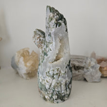 Load image into Gallery viewer, Moss Agate Owl in Tree Stump