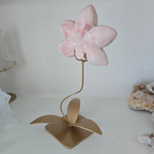 Load image into Gallery viewer, Pink Opal Orchid