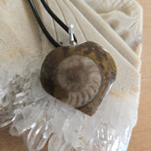 Load image into Gallery viewer, Ammonite Fossil Heart Necklace