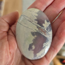 Load image into Gallery viewer, Porcelain Jasper Palmstone
