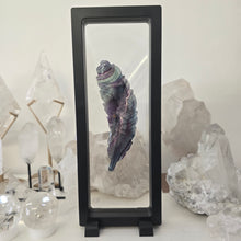 Load image into Gallery viewer, Rainbow Fluorite Feather in case