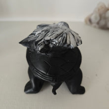 Load image into Gallery viewer, Chrysanthemum Stone Turtle