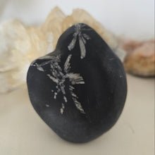 Load image into Gallery viewer, Chrysanthemum Stone Palmstone