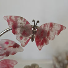 Load image into Gallery viewer, Rhodonite Butterfly Set