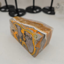 Load image into Gallery viewer, Bumblebee Jasper Freeform