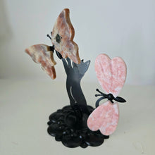 Load image into Gallery viewer, Playful Cat - Butterfly and Dragonfly