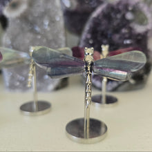 Load image into Gallery viewer, Fluorite Dragonfly