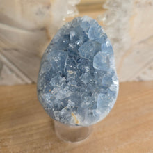 Load image into Gallery viewer, Celestite Cluster Egg
