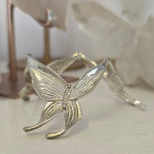 Load image into Gallery viewer, Butterfly Sphere Stand -- Medium