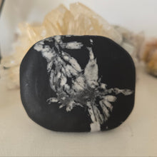 Load image into Gallery viewer, Chrysanthemum Stone Palmstone