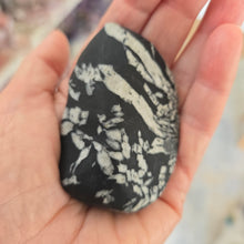 Load image into Gallery viewer, Chrysanthemum Stone Palmstone