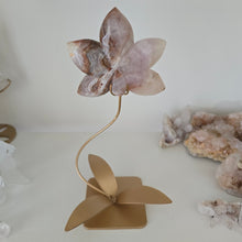 Load image into Gallery viewer, Amethyst Crazy Lace Agate Orchid