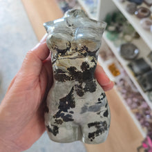Load image into Gallery viewer, Picture Jasper Goddess Body