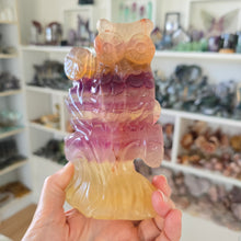 Load image into Gallery viewer, Rainbow Fluorite Owl
