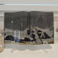Load image into Gallery viewer, Picture Jasper Book