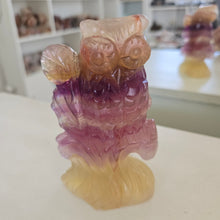 Load image into Gallery viewer, Rainbow Fluorite Owl