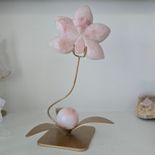 Load image into Gallery viewer, Pink Opal Orchid