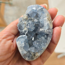 Load image into Gallery viewer, Celestite Cluster Egg
