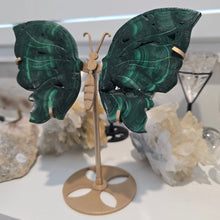 Load image into Gallery viewer, Malachite Wings