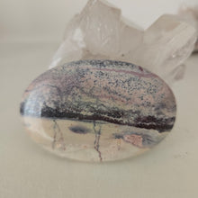 Load image into Gallery viewer, Porcelain Jasper Palmstone