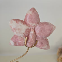 Load image into Gallery viewer, Pink Opal Orchid