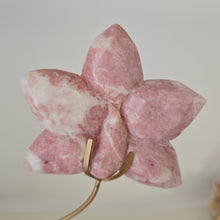 Load image into Gallery viewer, Pink Opal Orchid