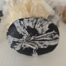 Load image into Gallery viewer, Chrysanthemum Stone Palmstone