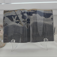 Load image into Gallery viewer, Picture Jasper Book
