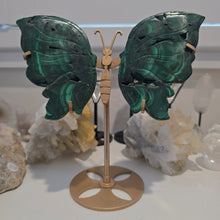Load image into Gallery viewer, Malachite Wings