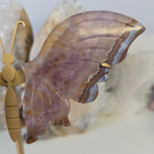 Load image into Gallery viewer, Amethyst Crazy Lace Agate Butterfly Wings