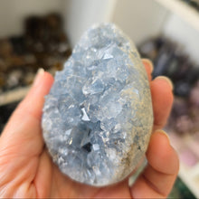Load image into Gallery viewer, Celestite Cluster Egg