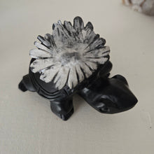 Load image into Gallery viewer, Chrysanthemum Stone Turtle
