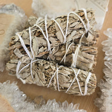 Load image into Gallery viewer, Smudge Stick - White Sage (loose leaf)