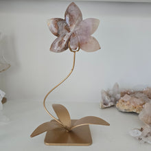 Load image into Gallery viewer, Amethyst Crazy Lace Agate Orchid
