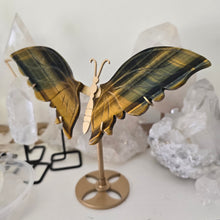 Load image into Gallery viewer, Tiger Eye Butterfly with Stand