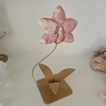 Load image into Gallery viewer, Pink Opal Orchid