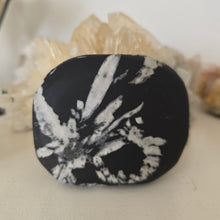 Load image into Gallery viewer, Chrysanthemum Stone Palmstone