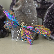 Load image into Gallery viewer, Aura Kyanite Dragonfly - Rainbow