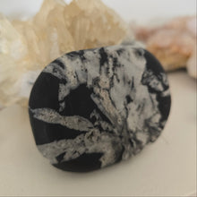 Load image into Gallery viewer, Chrysanthemum Stone Palmstone