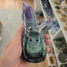 Load image into Gallery viewer, Fluorite Owl in Tree Stump